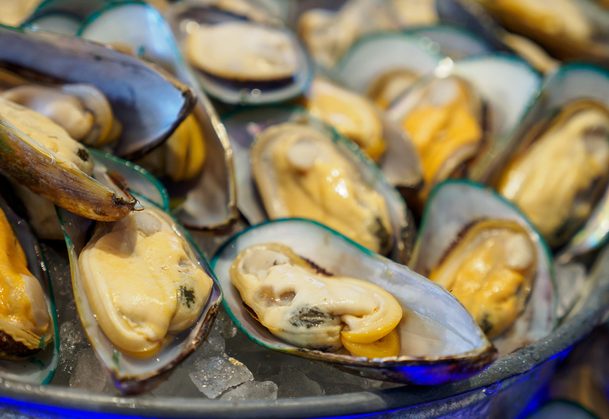 buying cooked Greenshell mussels in NZ