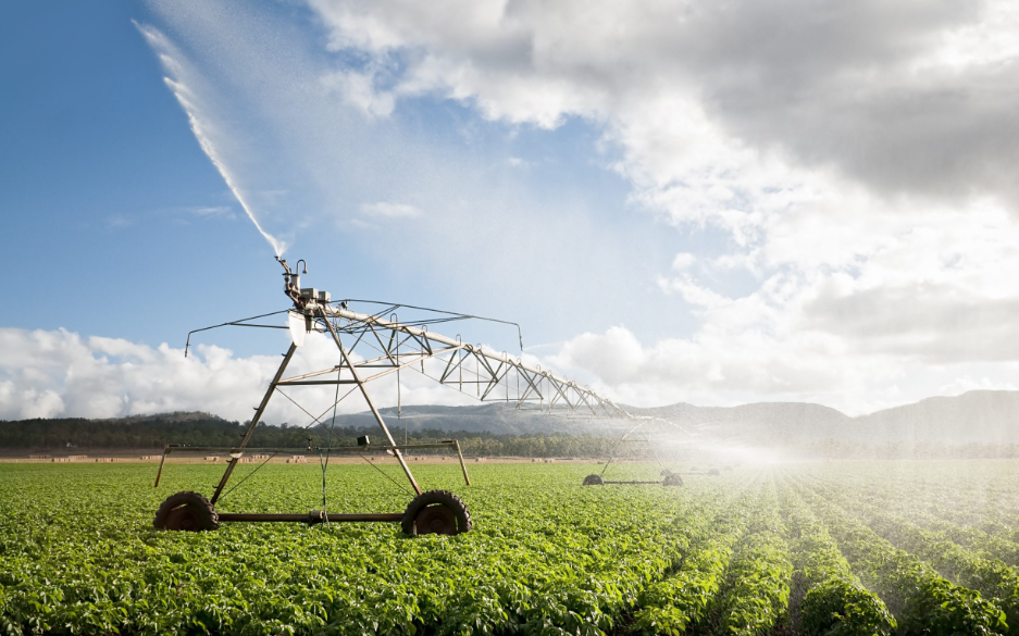 sugar industry in Australia