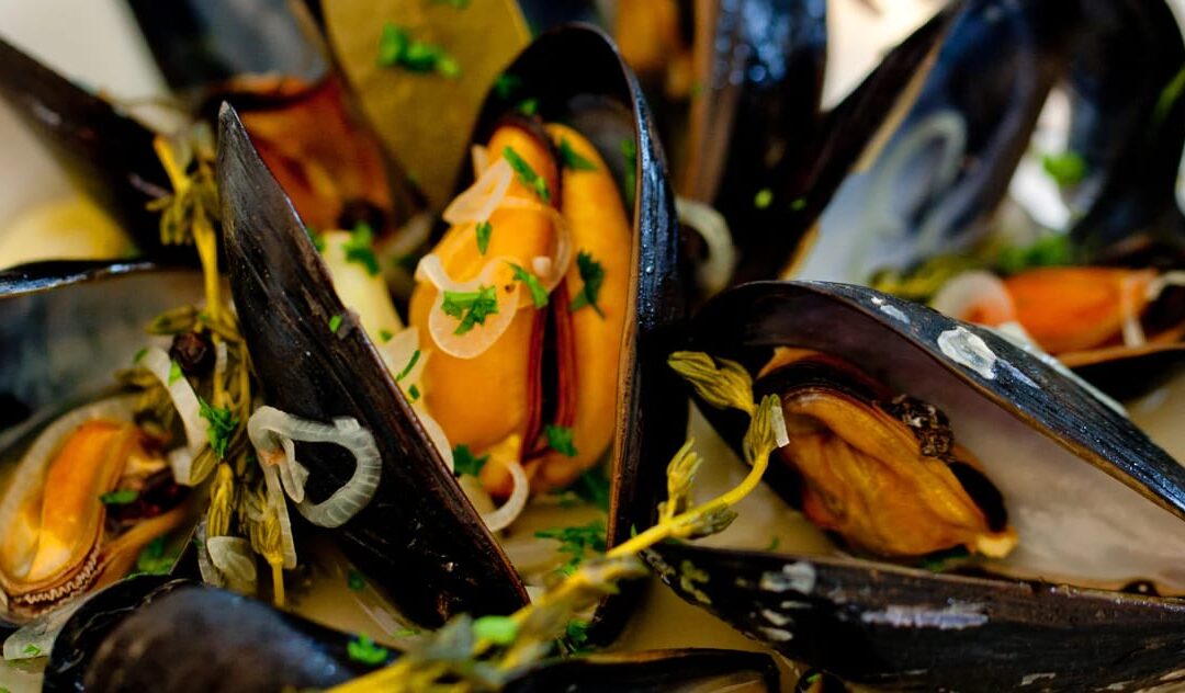 5 Innovative Ways to Enjoy Frozen Mussels From NZ in Your Cuisine