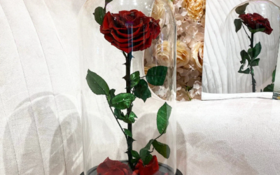 The Timeless Beauty of a Rose in a Glass Dome
