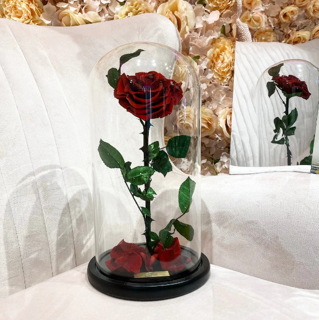 rose in a glass dome
