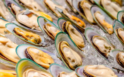 The Health Benefits of Adding NZ Green Mussels to Your Diet