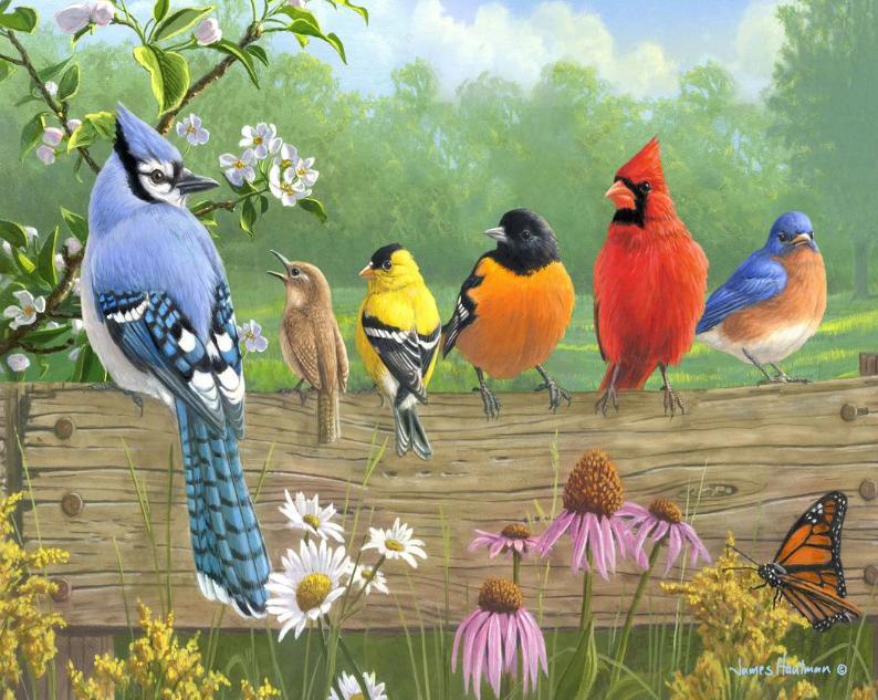 Unlocking the Artistic World of Birds Paint by Numbers: A Creative Guide