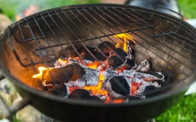 Buy Charcoal Briquettes & Products: Briquettes For The Smoky Barbeque