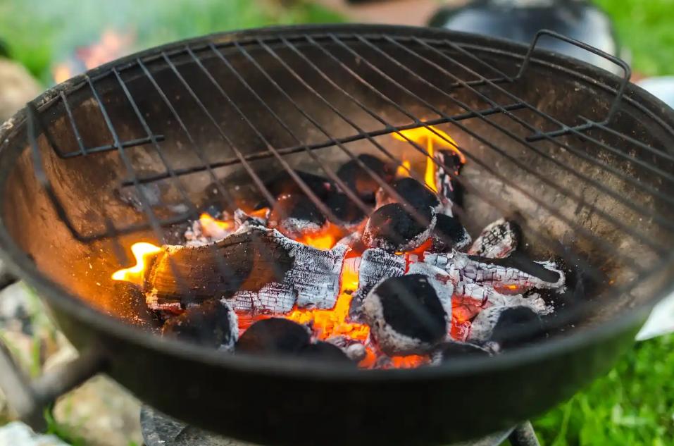 Buy Charcoal Briquettes & Products: Briquettes For The Smoky Barbeque