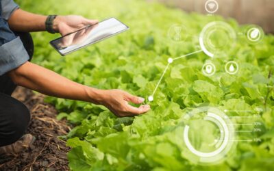 Unleashing Potential: The Critical Role of Advanced Crop Management and Agri Supply Chain Software