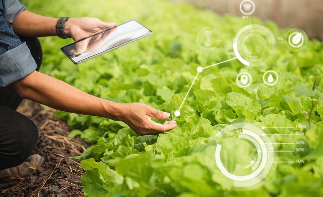 Unleashing Potential: The Critical Role of Advanced Crop Management and Agri Supply Chain Software